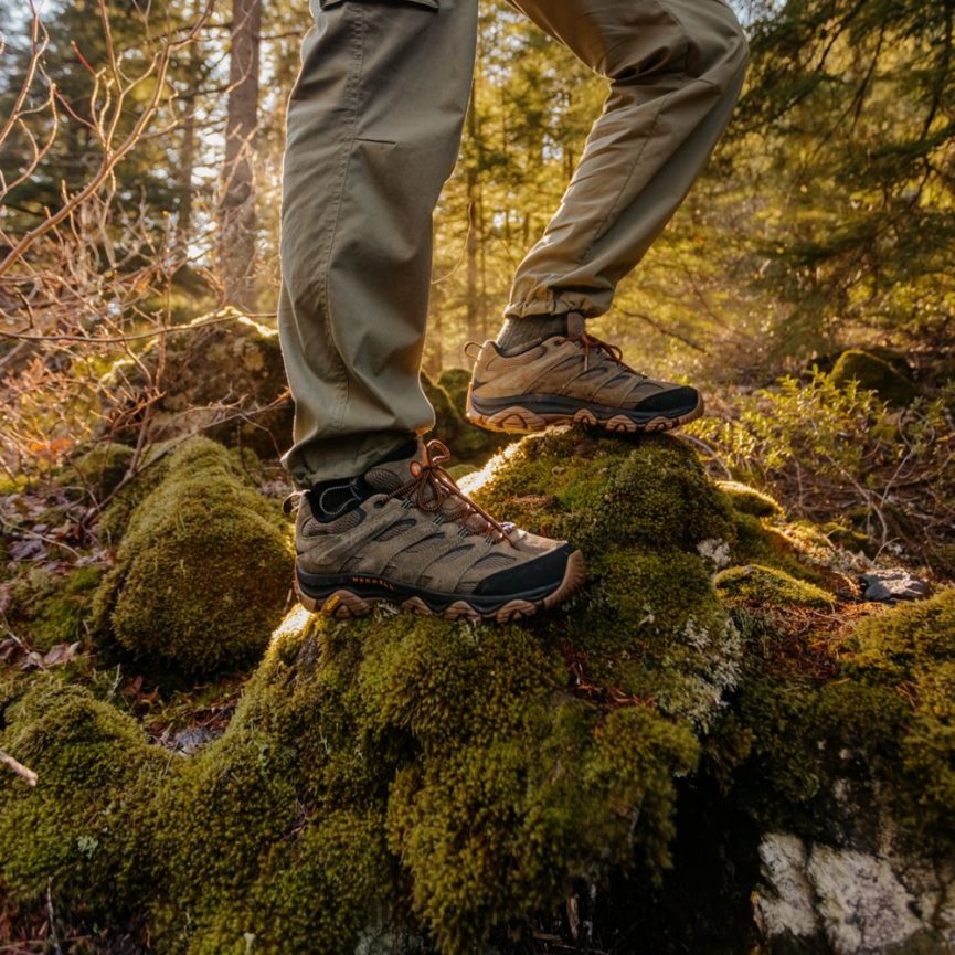 Merrell Heren 4FFP6T76 moab 3 waterdicht (j036553) schoenen olijf/kauwgom