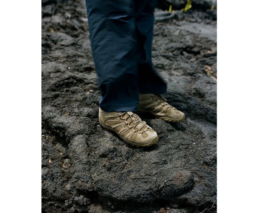 Merrell Heren 4FFP6T481 cham 8 stretch tactisch (j099409) schoenen donkere olijf